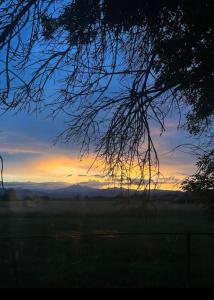 un coucher de soleil dans un champ avec un arbre dans l'établissement Enjoy Mountain Views, Fully Equipped 2BR Farmhouse, à Longmont