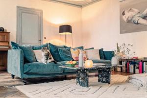 a cat sitting on a couch in a living room at La Nuit & Le Jour in Vertheuil-en-Médoc