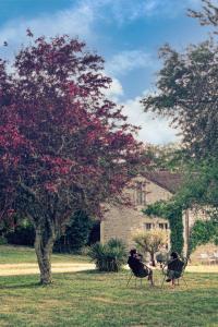 deux oiseaux assis sur des chaises dans un champ avec un arbre dans l'établissement La Nuit & Le Jour, à Vertheuil-en-Médoc