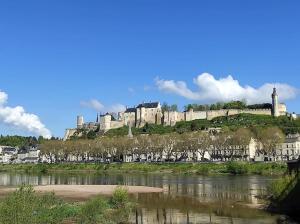 een kasteel bovenop een heuvel naast een rivier bij Chaleureuse maison de ville avec parking gratuit in Chinon