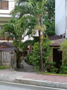 a street sign on a palm tree next to a building at Casita Isla Beach Inn in Boracay