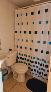 łazienka z toaletą i zasłoną prysznicową w obiekcie Departamento en Costanera Coquimbo w mieście Coquimbo