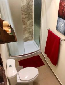 a bathroom with a toilet and a shower and a red towel at Habitación Hermosa a 3 cuadras del Parque de Copán in Copan Ruinas