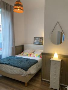 聖艾蒂安德拜戈里的住宿－Maison Graciateguy，一间卧室配有一张床和镜子
