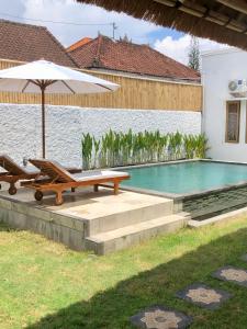a swimming pool with a bench and an umbrella at NOMAD Tropical Hostel Canggu in Dalung