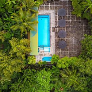 an overhead view of a swimming pool in a garden at Hotel Ranthil in Galle