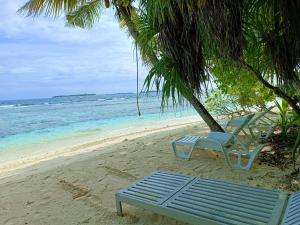 a blue bench sitting under a palm tree on the beach at Kihaa Holiday Home in Kihaadhoo