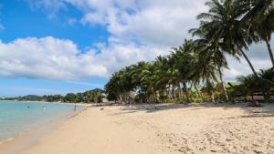 - une plage avec des palmiers et l'océan dans l'établissement Thiptara Resort, à Nathon Bay