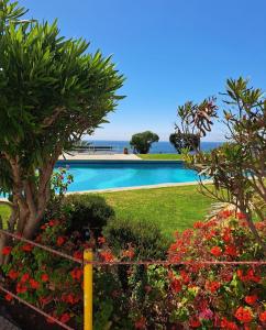 a swimming pool with flowers and the ocean in the background at La Marina home in Concón