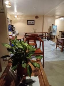 Posezení v ubytování Laguno Hostel and Guest House