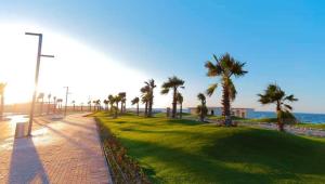 Port Said的住宿－بورتوسعيد Porto Said，海滩上种有棕榈树的公园