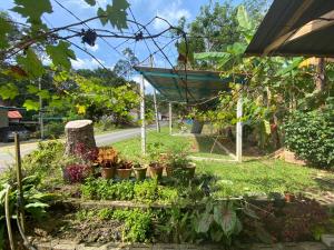 สวนหย่อมนอก Chu Mon's Homestay Janda Baik (15 min from river)