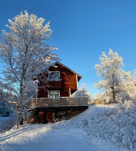 una cabaña de madera en la nieve con árboles en Sea Side Cabin, en Borlänge