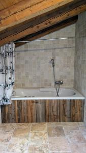 a bath tub with a shower in a bathroom at Alpenpanorama Ovronnaz in Ovronnaz