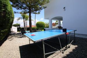 Stolný tenis v ubytovaní TESS Villa Tennessee alebo v jeho okolí