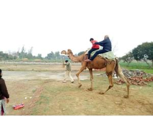 dos personas montadas en la espalda de un camello en Virasat Haweli, Mannavala, Punjab, en Jandiāla Guru