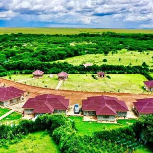 an overhead view of a group of houses with purple roofs at MASAI MARA COTTAGES in Narok