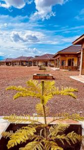 a palm tree in front of a building at MASAI MARA COTTAGES in Narok