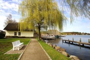 a bench sitting under a weeping tree next to a lake at Holiday flat am Krakower See Krakow am See - DMS02203-P in Krakow am See