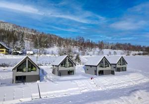 grupa domów w śniegu w obiekcie Widokówka Kletno w Stroniu Śląskim