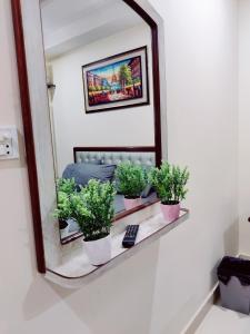 a mirror with potted plants on a shelf at SR Apartments Islamabad in Islamabad