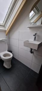 a bathroom with a toilet and a sink at 't Lytse Knipke in Lemmer