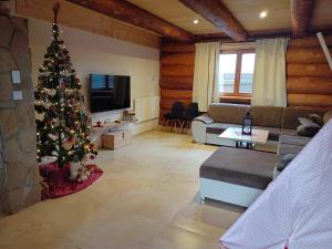 a living room with a christmas tree in it at srub U Holubů in Malšice