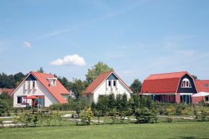 un grupo de casas con techos rojos en Summio Bungalowpark Het Hart van Drenthe, en Zwiggelte
