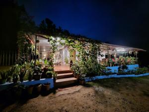 una casa cubierta de plantas y flores por la noche en Coorg Coffee Park Farmstay, en Somvārpet