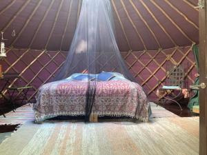 a bed in a yurt with a mosquito net at Jurtta Linkkumylly in Mäntyharju