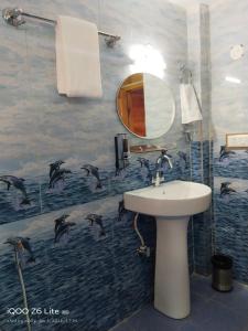 La salle de bains est pourvue d'un lavabo et d'un miroir. dans l'établissement Forest View Cottage, à Jibhi