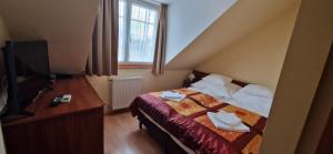a hotel room with a bed and a television at Hotel Patonai in Fertőd