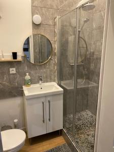 a bathroom with a shower and a sink and a toilet at My Little Home in Varennes-le-Grand