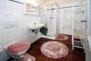 a bathroom with a sink and a toilet and a shower at Ferienhaus Rosenhof, Lenzen in Lenzen +16 photos