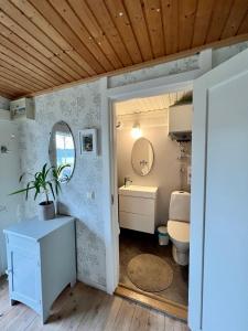 y baño con lavabo y aseo. en Cozy cottage with sea view, en Svenshögen