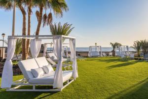 a group of white chairs on a lawn with palm trees at Elba Sara Beach & Golf Resort in Caleta De Fuste