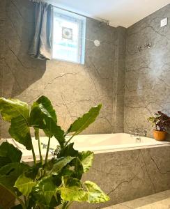 baño con bañera y planta en el primer plano en Crystall Goa Palolem, en Palolem
