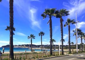 a row of palm trees on a street with a beach at Villas au brusc près de la plage in Six-Fours-les-Plages