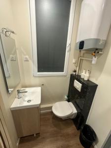 een badkamer met een toilet, een wastafel en een spiegel bij Charming & welcoming flat next to Tost beautiful places in Paris Museum of modern art Quai Branly Museum in Parijs
