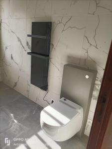 La salle de bains est pourvue de toilettes blanches et d'un mur fissuré. dans l'établissement Holiday home Verdon with private pool and view, à Artignosc-sur-Verdon
