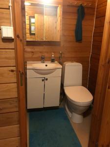 a small bathroom with a toilet and a sink at Lakeside Log Villa Edith in Rovaniemi +33 photos