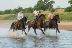 3 Menschen reiten auf Pferden im Wasser in der Unterkunft Tuli Safari Lodge Mashatu in Lentswelemoriti