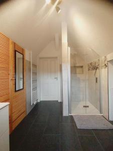 a bathroom with a walk in shower and a glass door at Familien-Apartment SchmitTs Katz 