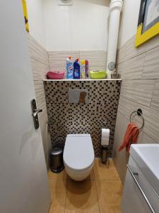 La petite salle de bains est pourvue de toilettes et d'un lavabo. dans l'établissement Charmante chambre chez l'habitant, à Ivry-sur-Seine