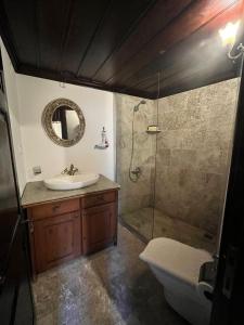a bathroom with a sink and a shower and a toilet at ŞİRİNCE BAHÇE OTEL in Selcuk