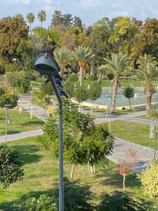 une lueur de rue dans un parc planté de palmiers dans l'établissement 2+1 Luxury flat ,near Old Town, à Antalya