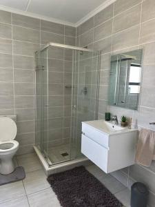 a bathroom with a shower and a toilet and a sink at Apartment in Kikuyu, Waterfall in Midrand