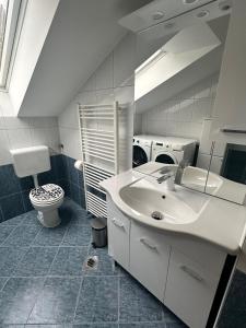 雷茲夫圖新的住宿－Apartment Izba Snovik，一间带水槽和洗衣机的浴室
