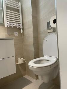 ein kleines Bad mit WC und Toilettenpapier in der Unterkunft Le Patcho in Straßburg