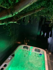 uma casa de banho com uma banheira com água verde em Suite Marie em Verviers